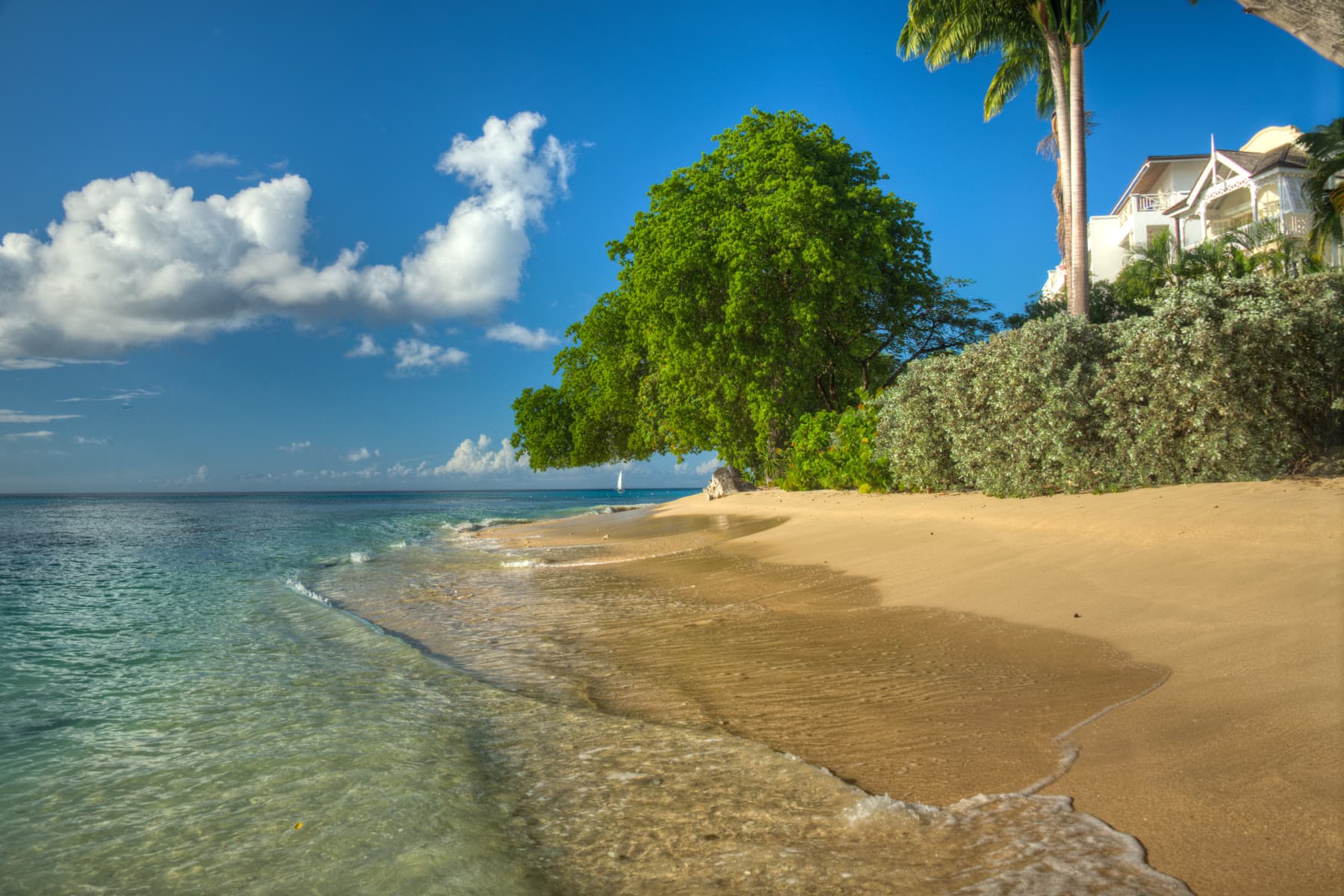 Paynes Bay on Barbados’s west coast, with golden sand, turquoise water, and a white hotel behind the trees