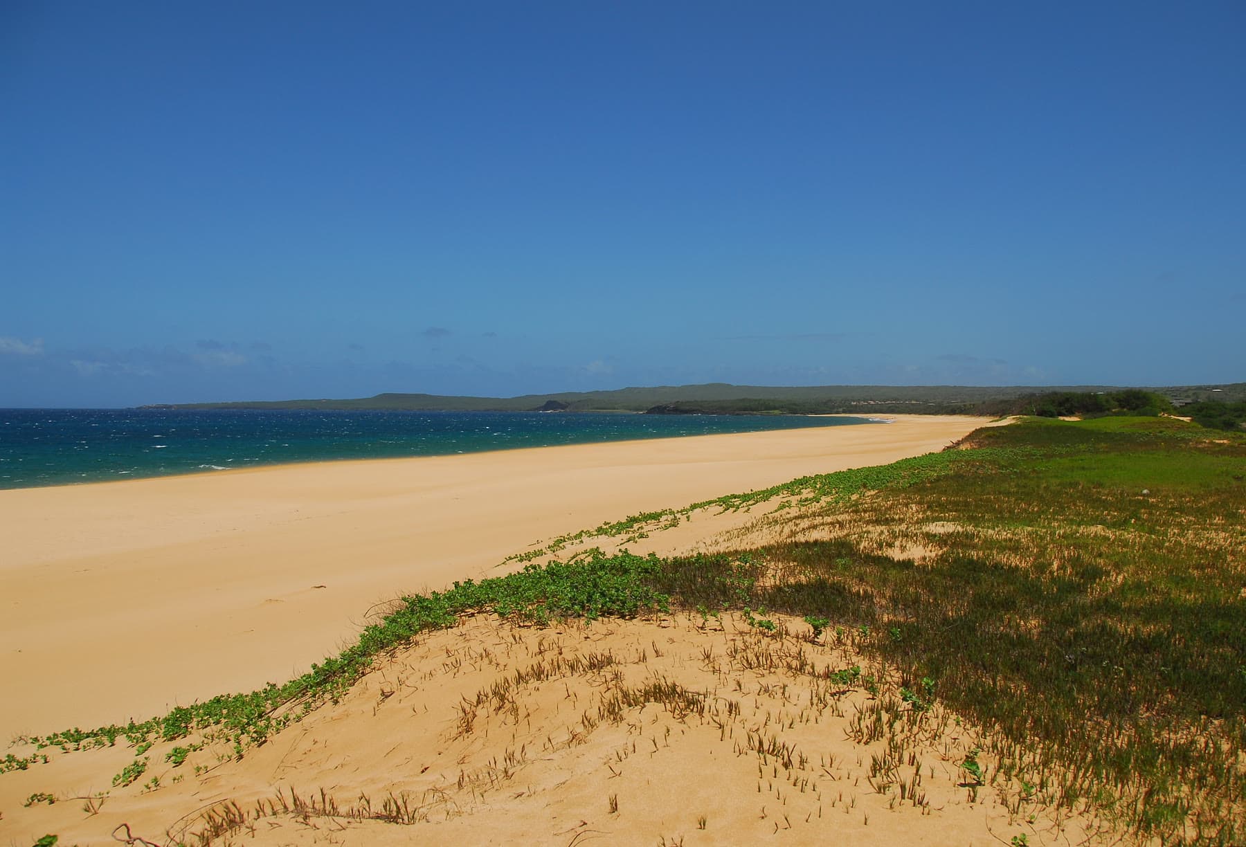 Papohaku Beach on Molokai’s west side, a wide empty stretch of golden sand and turquoise water